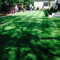 Artificial Grass Carpet Driscoll, Texas Rooftop, Small Backyard Ideas
