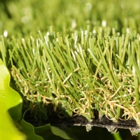 Natural lawn synthetic grass fake turf green olive field real leaf brown thatch landscape backyard beautiful background Natural lawn synthetic grass fake turf green olive field real leaf brown thatch landscape backyard beautiful background