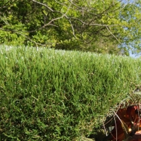 Green mat outdoor carpet synthetic grass artificial turf brown thatching blue sky forest backyard red flower plants garden Green mat outdoor carpet synthetic grass artificial turf brown thatching blue sky forest backyard red flower plants garden