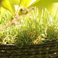 Synthetic looks real grass landscape turf backyard playgrounds olive green brown backing drainage Cashmere leaf leaves Synthetic looks real grass landscape turf backyard playgrounds olive green brown backing drainage Cashmere leaf leaves