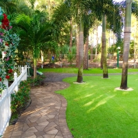 Artificial Lawn Sparks, Texas Home And Garden, Beautiful Backyards