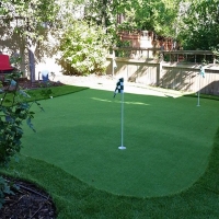 Artificial Turf Installation La Grange, Texas Indoor Putting Greens, Backyard Ideas
