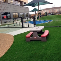 Artificial Turf Manchaca, Texas Kids Indoor Playground, Commercial Landscape