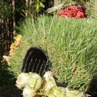 Artificial turf forest background green olive grass synthetic fake red flower white rose black backing playground lawns landscape Artificial turf forest background green olive grass synthetic fake red flower white rose black backing playground lawns landscape