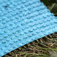 Cool Blue Hollow Olive Cool Blue Hollow Olive