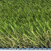 Cool Blue Hollow Lime Cool Blue Hollow Lime