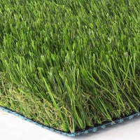 Cool Blue Hollow Lime Cool Blue Hollow Lime