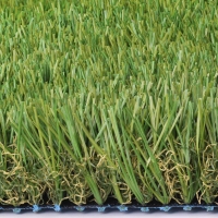 Cool Blue Hollow Olive Cool Blue Hollow Olive