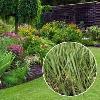 Cool Blue Hollow Olive artificial grass for synthetic lawns, landscape, yard, garden Cool Blue Hollow Olive artificial grass for synthetic lawns, landscape, yard, garden