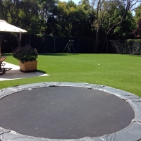 Fake Grass Carpet Garden Ridge, Texas Lawn And Garden, Small Backyard Ideas