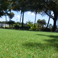 Fake Grass Carpet Killeen, Texas Gardeners, Recreational Areas