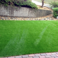 Fake Grass Carpet Shavano Park, Texas Dog Pound, Backyard Landscape Ideas