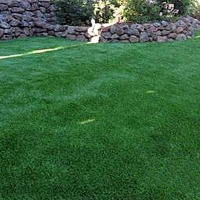 Fake Grass Rosita North, Texas Landscape Photos, Backyards