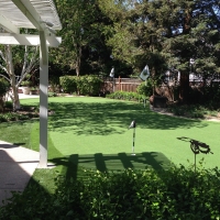Faux Grass Lamar, Texas Landscaping Business