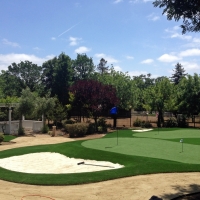Grass Carpet Gardendale, Texas Putting Green Carpet, Small Front Yard Landscaping
