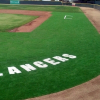 Grass Carpet Lakeshore Gardens-Hidden Acres, Texas Eco Friendly Products