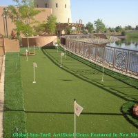 Lawn Services Alamo Heights, Texas Putting Green Grass, Backyard Design