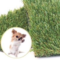 Artificial grass for dogs - Pet Turf Perfect Drainage, dog with paw, synthetic turf samples Artificial grass for dogs - Pet Turf Perfect Drainage, dog with paw, synthetic turf samples