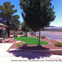 Plastic Grass Balcones Heights, Texas Landscaping, Small Front Yard Landscaping