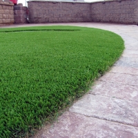 Plastic Grass Fairchilds, Texas Roof Top, Small Front Yard Landscaping