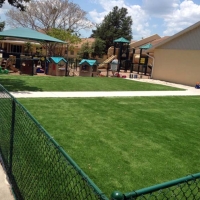 Plastic Grass Lago Vista, Texas Landscape Design, Commercial Landscape
