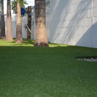 Synthetic Grass Nolanville, Texas City Landscape, Commercial Landscape