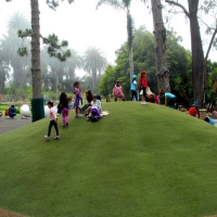 Synthetic Turf Supplier Lockhart, Texas Gardeners, Parks