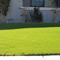 Turf Grass San Saba, Texas Landscape Ideas, Front Yard