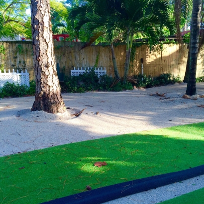 Artificial Grass Carpet Doyle, Texas Backyard Deck Ideas, Recreational Areas