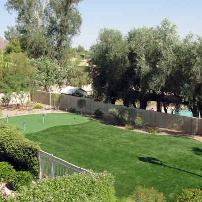 Artificial Grass Carpet Paisano Park Colonia, Texas Gardeners, Backyard Landscaping Ideas