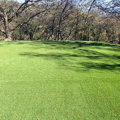 Artificial Grass Carpet Rocksprings, Texas Landscape Ideas, Recreational Areas