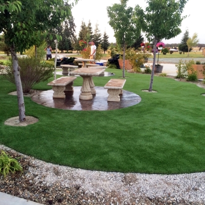 Artificial Grass Carpet Smiley, Texas Landscape Design, Commercial Landscape