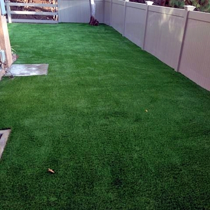 Artificial Grass George West, Texas Dog Parks, Beautiful Backyards