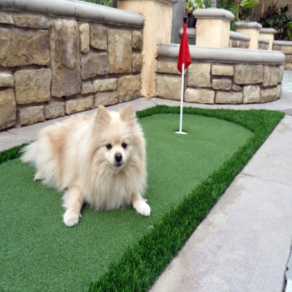 Artificial Grass Installation Thorndale, Texas Lawn And Landscape, Backyard Landscaping