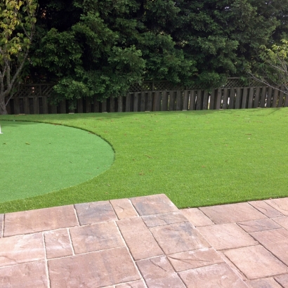 Artificial Grass Moore, Texas Gardeners, Backyard Landscaping