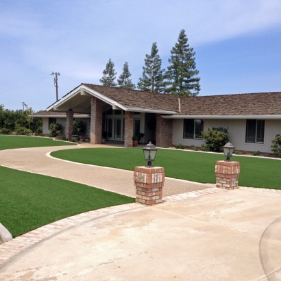 Artificial Turf Cost Fort Clark Springs, Texas Lawns, Small Front Yard Landscaping