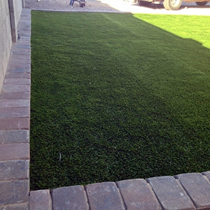 Artificial Turf Cost Tynan, Texas Dog Parks, Front Yard
