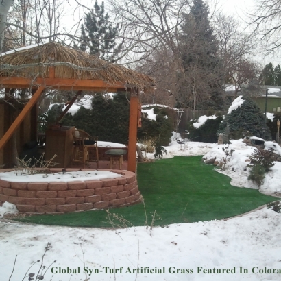 Artificial Turf Selma, Texas Home And Garden, Backyard Designs
