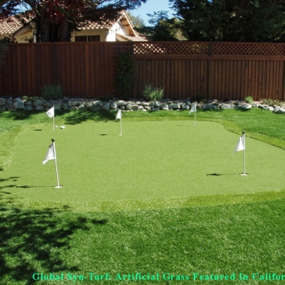 Best Artificial Grass China Grove, Texas Paver Patio, Backyard Makeover