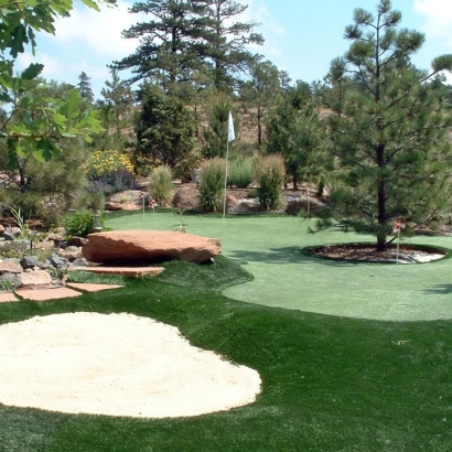 Fake Grass Carpet Chula Vista Colonia, Texas How To Build A Putting Green, Backyard Design