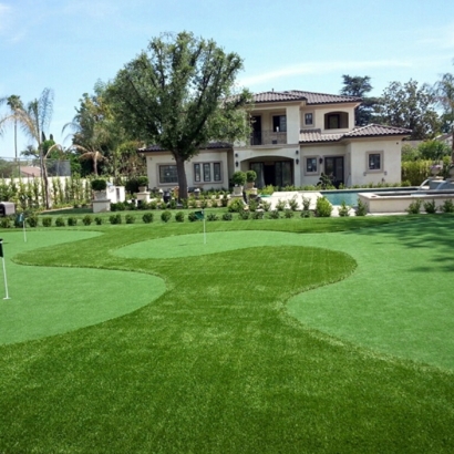 Fake Grass Carpet Nordheim, Texas How To Build A Putting Green, Front Yard Design