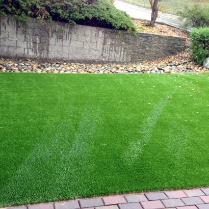 Fake Grass Carpet Shavano Park, Texas Dog Pound, Backyard Landscape Ideas