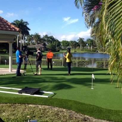 Fake Lawn La Coste, Texas Best Indoor Putting Green, Backyard Design