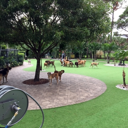 Fake Turf Hackberry, Texas Hotel For Dogs, Commercial Landscape