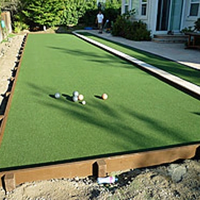 Grass Carpet Wells Branch, Texas High School Sports, Backyard Garden Ideas