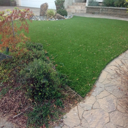 Grass Carpet West Lake Hills, Texas Lawn And Garden, Backyard Landscaping