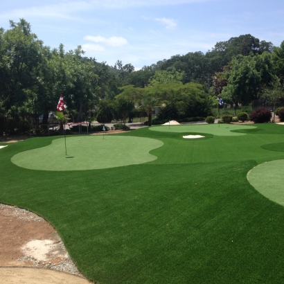Installing Artificial Grass Brundage, Texas Artificial Putting Greens, Landscaping Ideas For Front Yard
