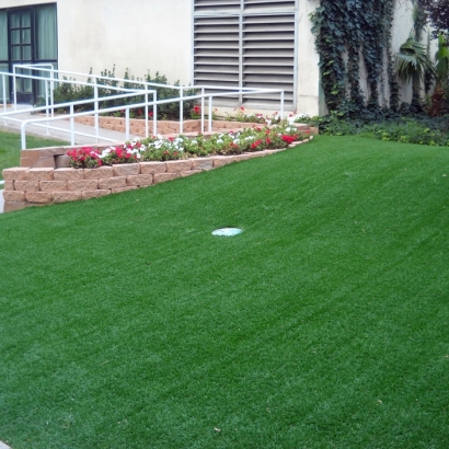 Installing Artificial Grass Onion Creek, Texas Landscape Ideas, Small Front Yard Landscaping