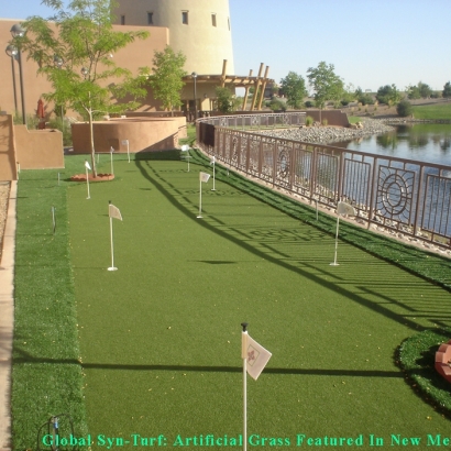 Lawn Services Alamo Heights, Texas Putting Green Grass, Backyard Design