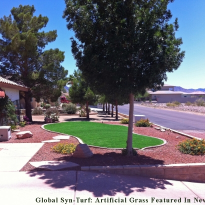 Plastic Grass Balcones Heights, Texas Landscaping, Small Front Yard Landscaping